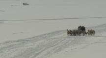 Inuit Drives Dog Sled Over Snow Field