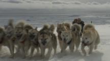 Inuit Drives Dog Sled Over Snow Field Toward Camera