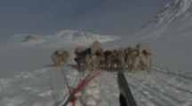 POV Inuit Drives Dog Sled Over Snow Field