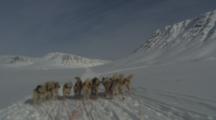 POV Inuit Drives Dog Sled Over Snow Field