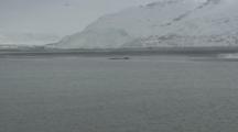 View From Boat Traveling Along Arctic Greenland Coastline, Animal In Water Possibly Whale