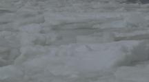 Close Up Melting Ice Bobbing On Surface