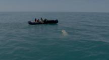 Canoe With People Pass Swimming Polar Bear, Filming?