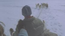 People Ride in Dog Sled