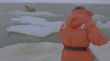 Woman Cinematographer Films A Large Seal On Ice Floe