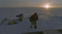 Inuit Transfer Frozen Fish To Sled