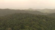 Flying Over Caribbean Primary Rain Forest.