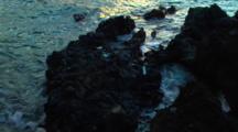 Sunset Reflects On Waves Hitting Rugged Coast