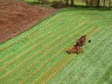 Aerial View Of Pennsylvania Farmland, Plow Horses