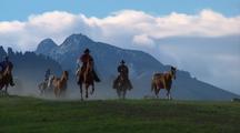 Cowboy Rounds Up Horses