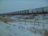 Train Rolling Past Snowy Field
