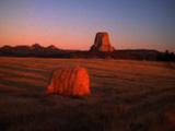 Hay Bales And Devil's Tower In Golden Light