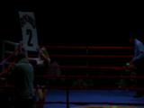 Girl Holds A Round Card In A Boxing Ring