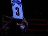 Girl Holds A Round Card In A Boxing Ring