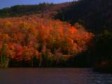 Trees In Fall Colors Around Lake