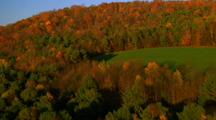 Aerial Trees In Fall Color
