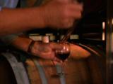 Man Samples Wine From Barrel