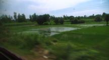 View Of Countryside From Train