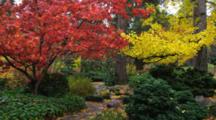 Garden With Trees With Red And Yellow Fall Colors