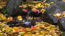 Waterfall And Pond With Red And Yellow Leaves