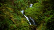 Waterfall In Dense Temperate Rainforest 