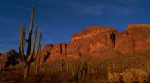 Red Cliffs And Cactus At Sunset