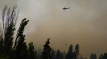 Helicopter Flies Over Forest Fire Carrying Water Bucket