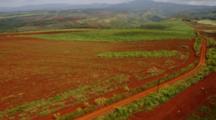 Aerials Kauai Farmland, Possibly Sugar Cane, Showing Famous Red Dirt