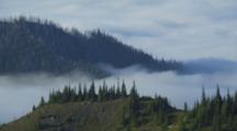 Overlook Fog Settling In Valley Of Olympic National Park