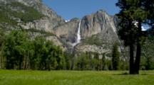 Yosemite Falls Tumbles Down Granite Face, Meadow Foreground