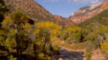 Overlook View Of Virgin River And Autumn Trees