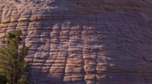 Iconic Zion Landscape Of Checkerboard Mesa