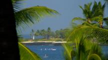 Canoes And Stand Up Paddlers Enter Kona Harbor, Framed By Palm Trees