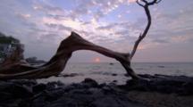 Sunset Framed By Driftwood, Hawaii