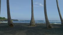 Waves Behind Palm Tree Trunks, On Black Sand Beach