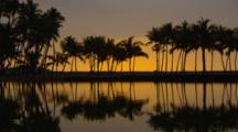 Line Of Palm Trees Silhouetted By Sunset Reflected In Water