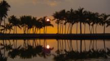 Line Of Palm Trees Silhouetted By Sunset Reflected In Water