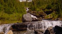 Waterfall Cascades Down Rocky Mountainside