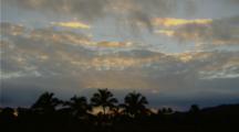 Palm Trees Silhouetted, Cloudy Sunrise Kauai, Hawaii    