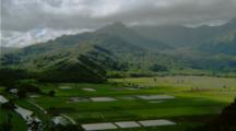 Panoramic Hanalei Valley Lookout Over Taro Fields
