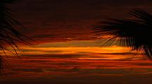 Sunset And Dramatic Clouds Silhouette Palm Tree