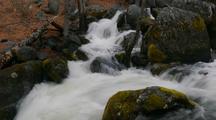 Time Lapse Of Forest Stream In Big Sur