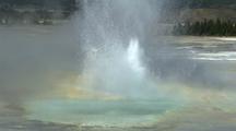 Geyser In Hot Spring, Yellowstone National Park
