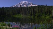 Reflection Of Mt. Rainier In Lake, Flowers In Foreground