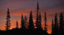 Sunrise Silhouette Of Forest Trees