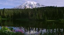 Reflection Of Mt Rainier On Lake, Wildflowers Foreground