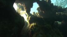 Coral Reef Scenery, Crevice With Sun Coming Through