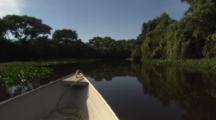 Going Down Pantenal River, View From Bow Of Boat 
