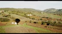 Long Shot, Aerial Fly Over Napa Valley Vineyards. Shot From A Hot Air Balloon, Some Wobble. Beautiful, Scenic, Vineyards.