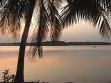 Lagoon At Dawn Through Palm Trees